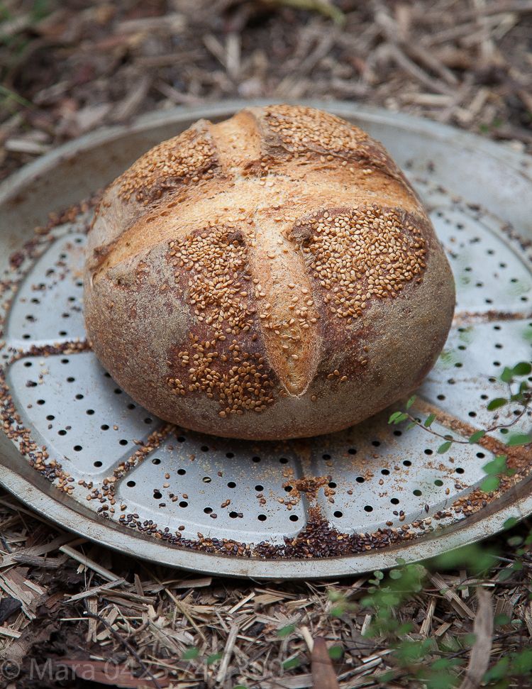 Sourdough bread making is easy: it really is.