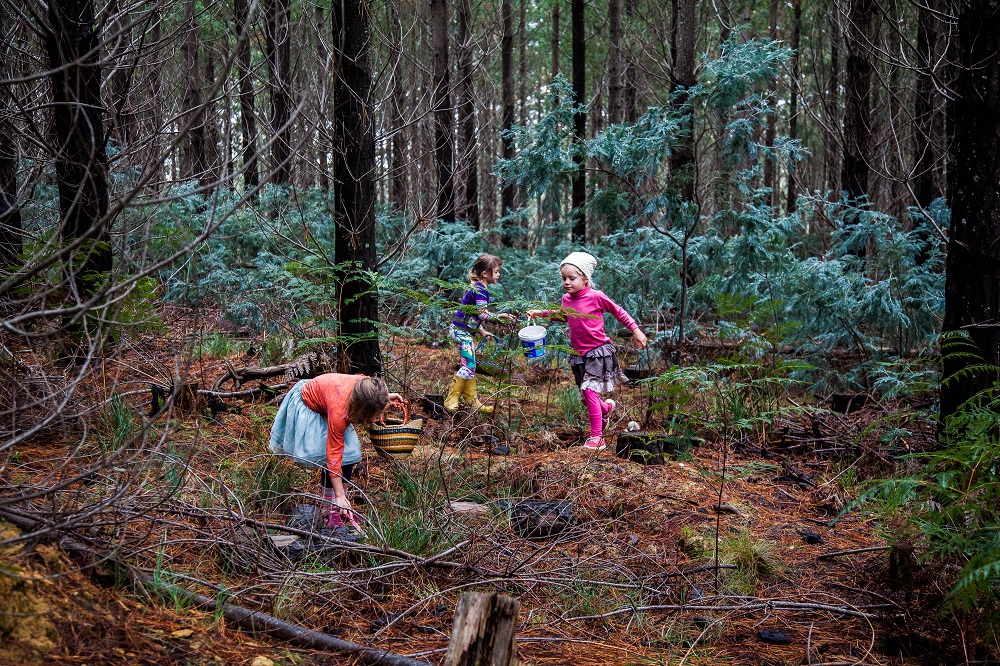 Children foraging for mushrooms in a forest