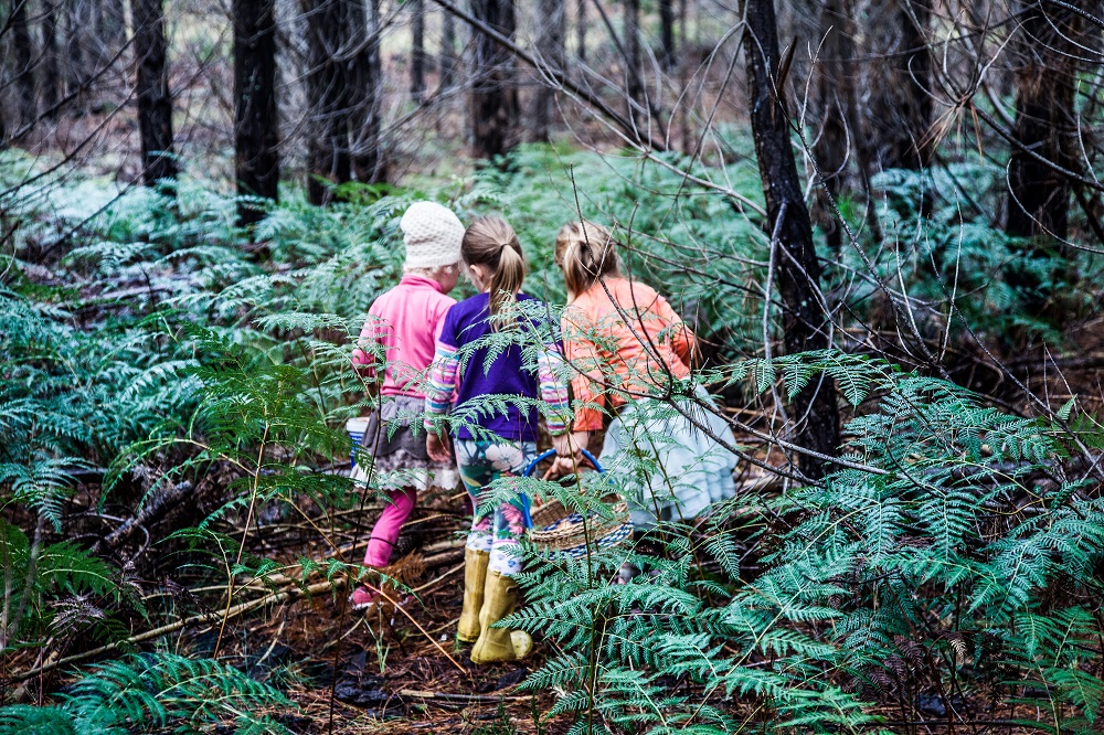 Children in a forest during a mushroom foraging workshop